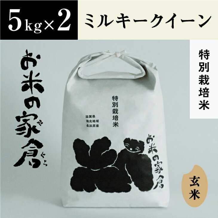 【新米：令和5年産】滋賀県　長浜市　プチプチ食感！特別栽培”ミルキークイーン”　5kg玄米×2袋※2023年10月上旬より順次発送予定