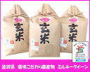 【ふるさと納税】環境こだわり農産物 ミルキークイーン 玄米5...