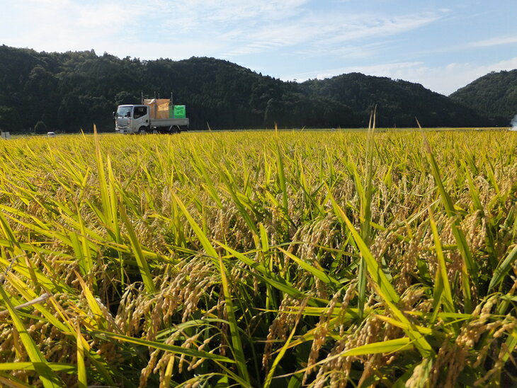 【ふるさと納税】令和5年産　滋賀県産　低農薬栽培　ミルキークイーン　玄米　5kg×3袋