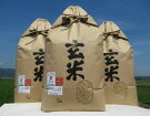【栽培期間中農薬不使用】特別栽培米コシヒカリ玄米5kg×3袋
