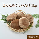 【ふるさと納税】プレミアムきんたろうしいたけ（1kg）　※着日指定送不可