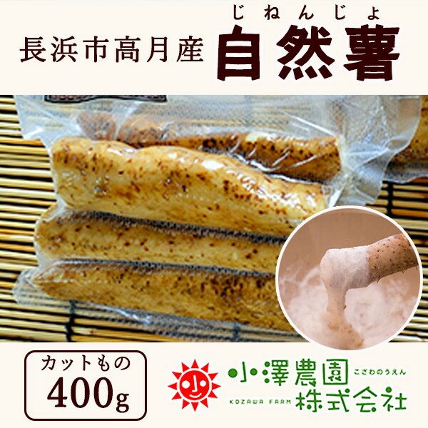 【ふるさと納税】じねんじょとコシヒカリのセット（自然薯400g、コシヒカリ1.5kg）※着日指定はできません。※12月中旬頃より順次発送予定◆