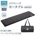 【ふるさと納税】エアウィーヴ ポータブルmini◇