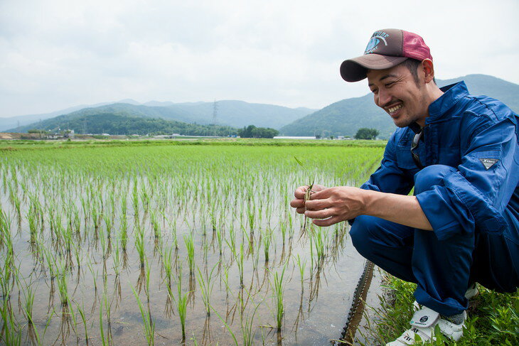 【ふるさと納税】【定期便】滋賀県 長浜市 食べやすさ抜群！自然栽培 ミルキークイーン 命の恵 5kg玄米×12回｜農薬不使用 化学肥料不使用 産地直送 60kg※2022年10月上旬頃より順次発送予定