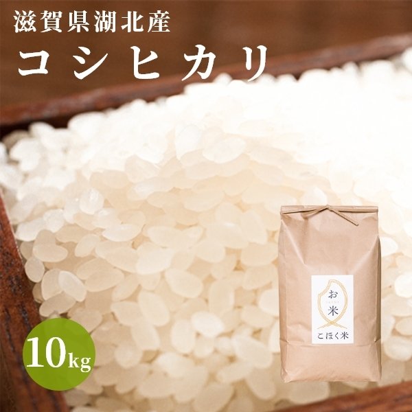 【ふるさと納税】 令和4年 滋賀県湖北産　湖北のコシヒカリ 10kg【食味最高ランク特A 2年連続受賞】【減農薬米】【白米の場合、9kg】｜こしひかり お米 白米 玄米 産地直送※着日指定不可※2022年9月下旬頃より順次発送予定のサムネイル