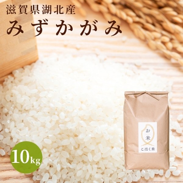 【ふるさと納税】 令和5年 滋賀県湖北産　湖北のみずかがみ 10kg【食味最高ランク特A 4度受賞・環境こだわり米(特別栽培米)】【白米の場合、9kg】｜お米 白米 玄米 産地直送 小粒※着日指定不可※2023年9月中旬頃より順次発送予定のサムネイル