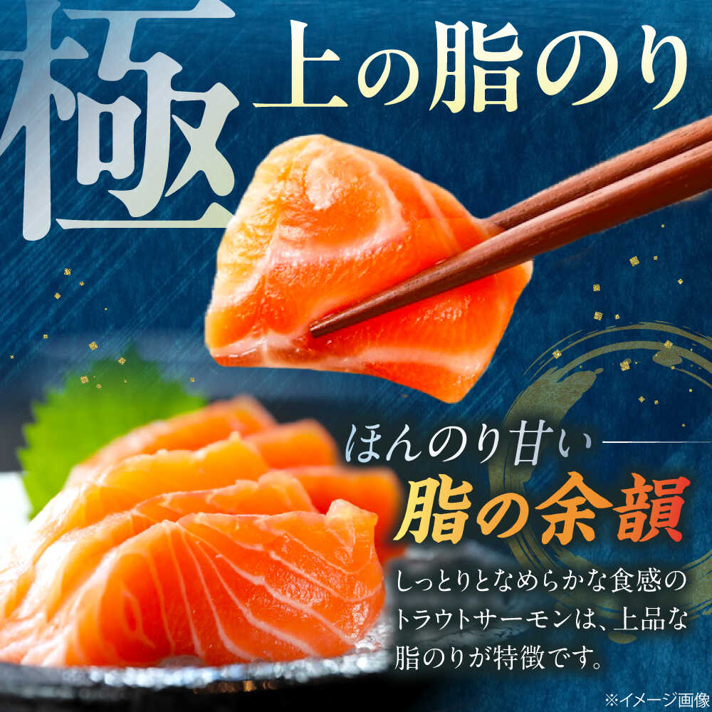 【ふるさと納税】【訳あり】【年内発送】トラウトサーモン刺身 | 選べる容量 滋賀県長浜市/株式会社中村屋[AQAJ047] サーモン 鮭 刺身 訳あり 切り落とし トラウトサーモン 冷凍 海鮮丼 手巻き寿司 魚 お取り寄せ カルパッチョ 漬け丼 おつまみ おかず ホームパーティー