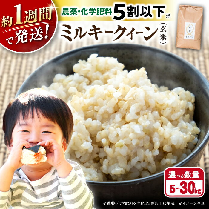 楽天市場】ミルキークイーン 30kg 玄米 滋賀県の通販 楽天市場】ミルキークイーン 30kg 玄米 滋賀県の通販