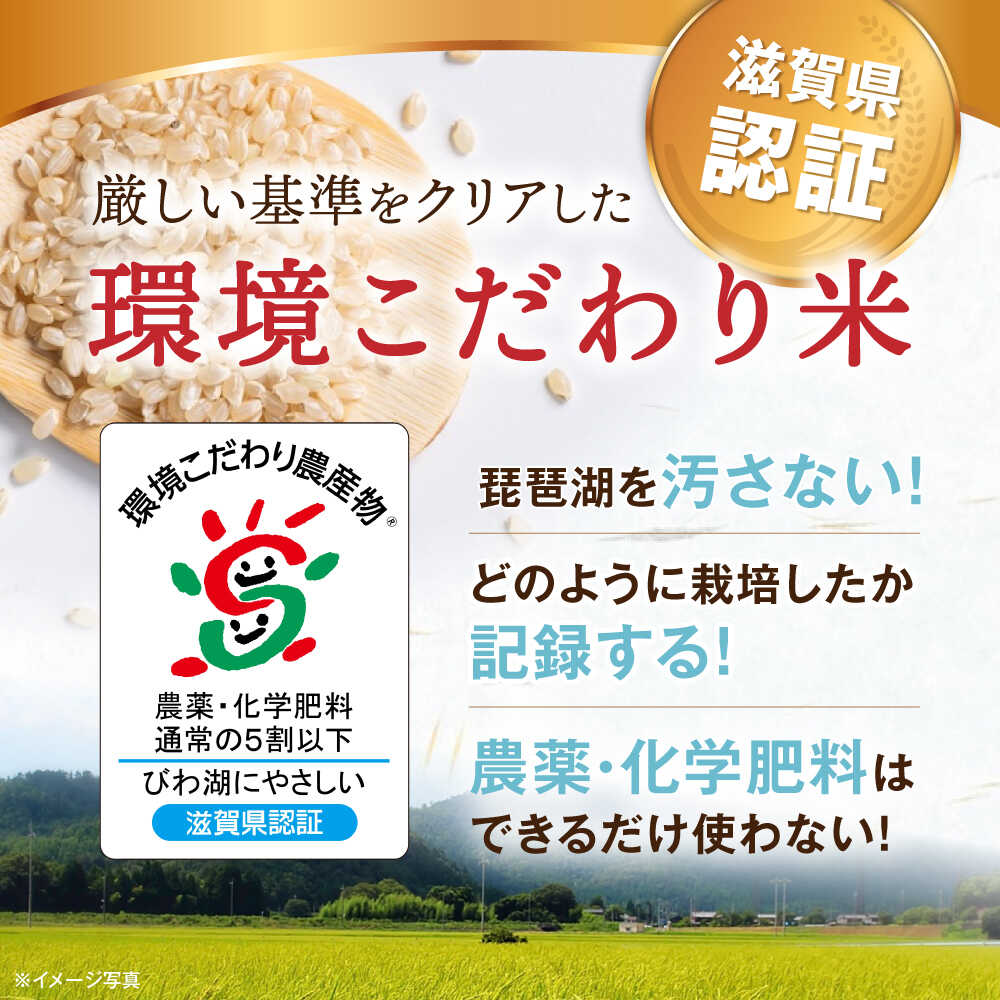 【ふるさと納税】＜選べる内容量＞【令和7年産新米】米 滋賀県産 湖北のコシヒカリ 玄米 5kg 10kg 20kg 30kg【環境こだわり米】長浜市/エース物産[AQAK001] 米 お米 こしひかり こめ コメ 新米 健康志向 健康人気 おすすめ ごはん ご飯 炊き込みご飯 おにぎり 5キロ 10キロ