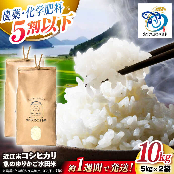 ڤդ뤵Ǽǡۡԡȯ7ǯơ Ṿ ҥ 10kg5kg2 Τ꤫ 츩Ĺͻ/[AQAW012] ...