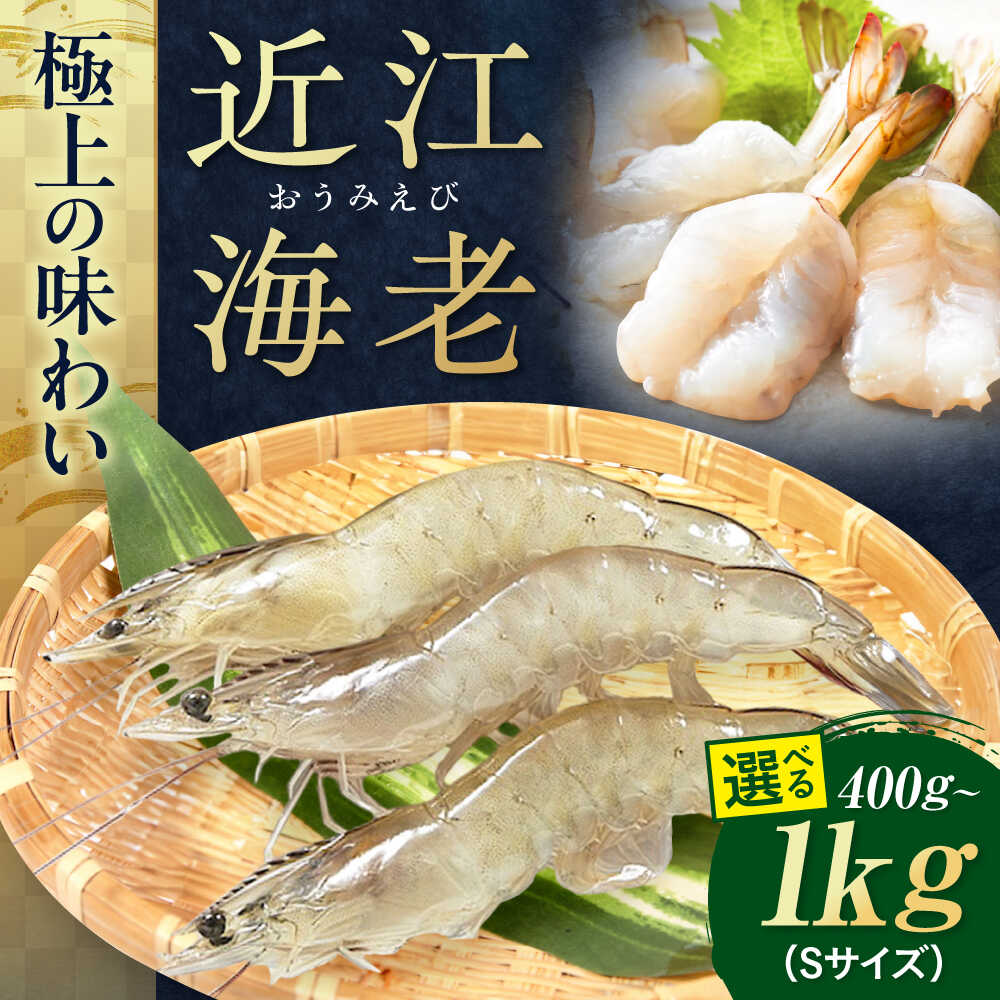 【ふるさと納税】近江海老 Sサイズ 400g～1kg 滋賀県長浜市/ワボウ電子株式会社[AQBA008] エビ 海老 えび 海鮮 魚介類 魚貝類 魚介 甲殻類 下処理不要 冷凍 業務用 小分け 国産 お弁当 刺身 刺し身 エビフライ エビチリ エビマヨ バーベキュー BBQ