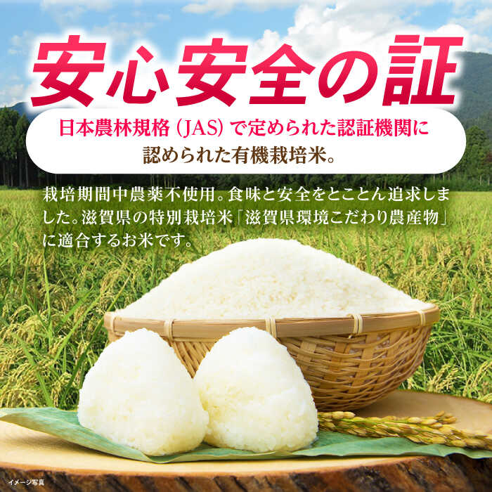 【ふるさと納税】【令和7年産新米】 JASオーガニック コシヒカリ 5kg 玄米 滋賀県長浜市/有限会社もりかわ農場 [AQBL010] 特別栽培米 栽培期間中 農薬不使用 コシヒカリ JAS 米 お米 玄米 5kg 20000円 2万円 こしひかり 近江米 ※着日指定不可