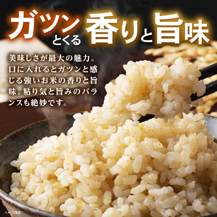 【ふるさと納税】【令和7年産新米】 JASオーガニック コシヒカリ 5kg 玄米 滋賀県長浜市/有限会社もりかわ農場 [AQBL010] 特別栽培米 栽培期間中 農薬不使用 コシヒカリ JAS 米 お米 玄米 5kg 20000円 2万円 こしひかり 近江米 ※着日指定不可