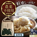 【ふるさと納税】【先行予約/令和7年産新米】 自然栽培米 滋賀旭 2kg 5kg 10kg 選べる内容量と精米方法 白米 玄米 | 米 こめ コメ お米 国産 ...