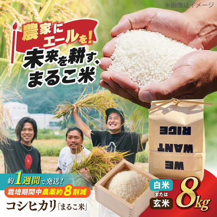さる様 滋賀県産 コシヒカリ 精米15kg 2口
