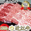 【ふるさと納税】 厳選 近江牛 カルビ バラ肉 焼肉用 50