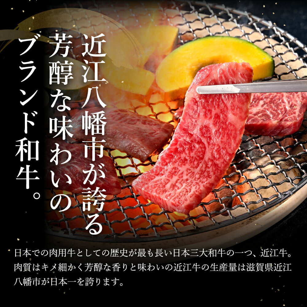 滋賀県近江八幡市の画像3