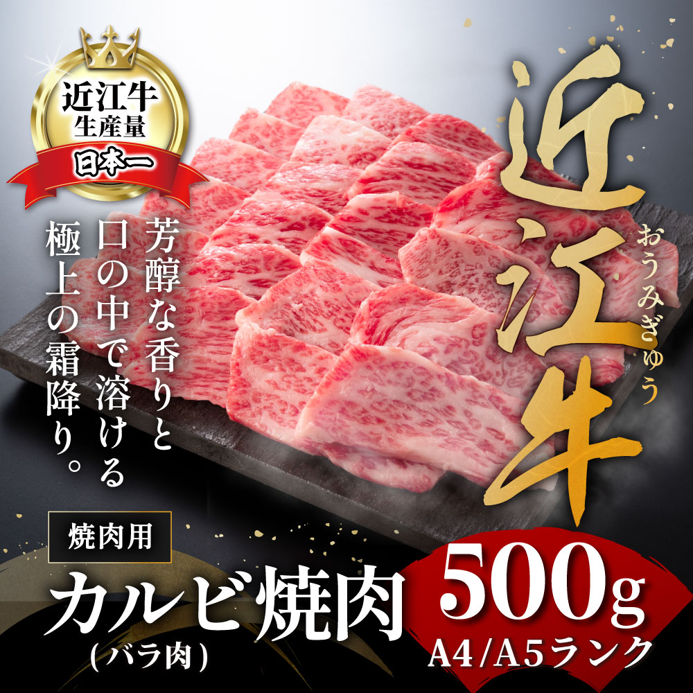 滋賀県近江八幡市の画像2