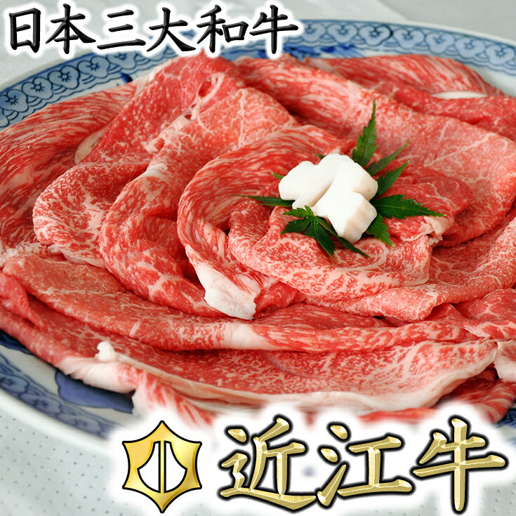 【ふるさと納税】厳選　近江牛　すき焼き・しゃぶしゃぶ【500g】