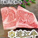 【ふるさと納税】【4等級以上】厳選 近江牛 リブロースステーキ 【500g（250g × 2枚）】【牛肉】【牛】【A4】【A5】【国産】 1