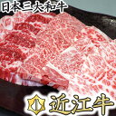 【ふるさと納税】【4等級以上】厳選　近江牛　カルビ　焼肉【500g】