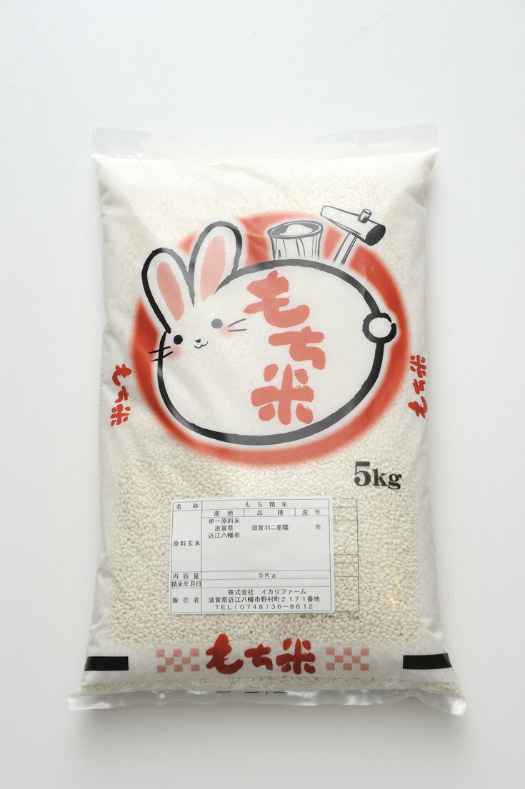 【ふるさと納税】【5年産】最高峰のもち米「滋賀羽二重糯」もち精米【5kg】のサムネイル