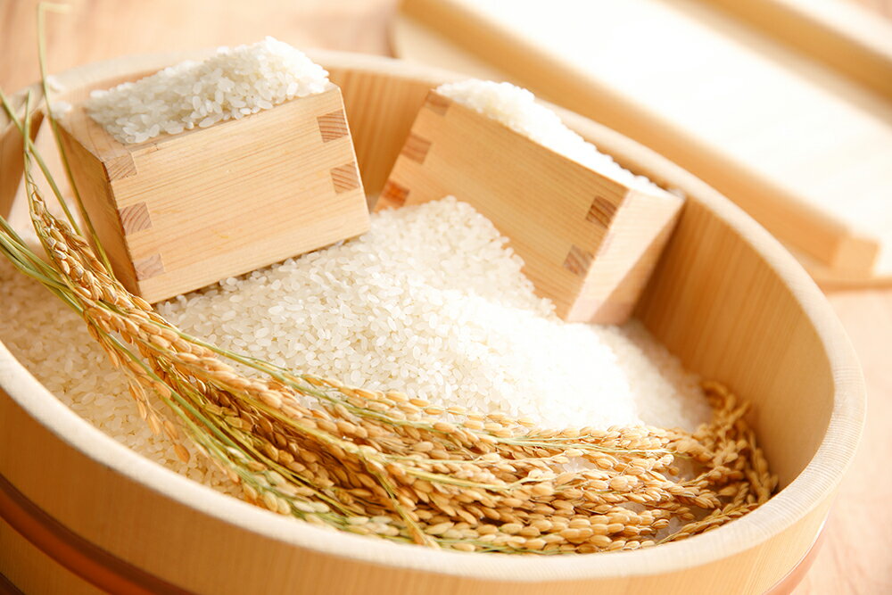 【ふるさと納税】【新米】【7年産】 冷めても美味しいあっさりとした味わい「みずかがみ」 近江米 滋賀県産 国産 5kg / 10kg / 30kg 定期便 選べる 白米 玄米