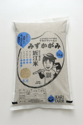 楽天ふるさと納税　【ふるさと納税】【5年産】冷めても美味しいあっさりとした味わい「みずかがみ」白米【5kg】