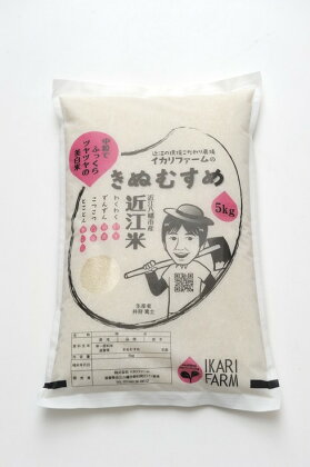 【30年産】中粒でふっくらツヤツヤの美白米「きぬむすめ」白米5kg