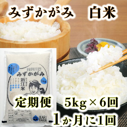 【5年産】「みずかがみ」白米定期便　6カ月で5kgを6回お届け（1カ月に1回） 白米