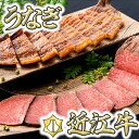 【ふるさと納税】 【手仕込み!食べれば納得!】近江牛ローストビーフ&うなぎ蒲焼セット