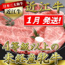 【ふるさと納税】≪年内発送!≫【4等級以上の未経産牝牛限定】...