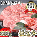 【ふるさと納税】【畜産農家支援】千成亭 近江牛 カルビ 焼肉 600g A4/A5 焼肉用 国産 ブランド牛 日本三大和牛 4等級以上の未経産牝牛限定 キャンプ アウトドア 贈り物 ギフト にも 冷凍 送料無料【リピート多数】【頑張った方へのご褒美を贅沢に】