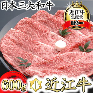 【ふるさと納税】千成亭 近江牛 カタ バラ すき焼き 600g A4/A5 すき焼き用 国産 ブランド牛 日本三大和牛 4等級以上の未経産牝牛限定 牛丼 贈り物 ギフト にも 冷凍 送料無料