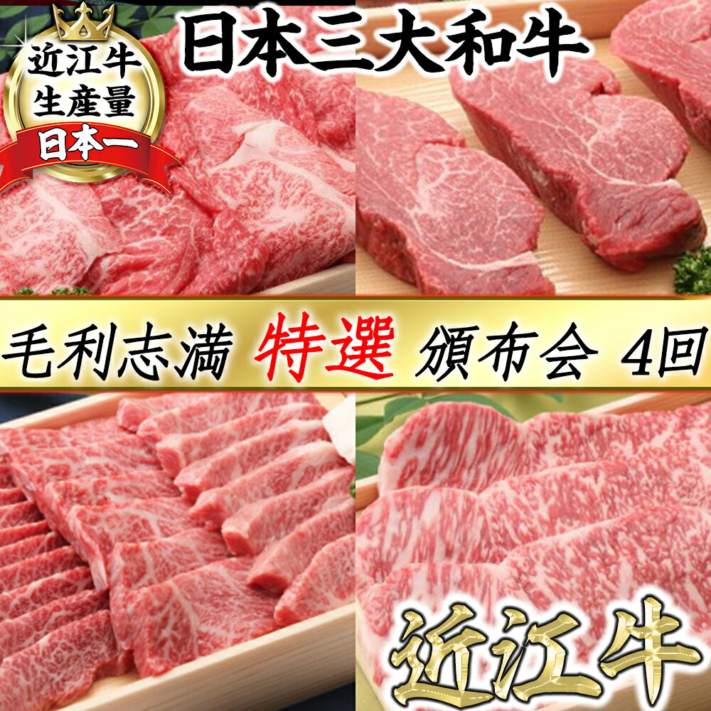 1位! 口コミ数「2件」評価「5」【定期便】近江牛 すき焼き/しゃぶしゃぶ/焼肉/ステーキ 食べ比べ ロース/サーロイン/ヒレ 毛利志満 4等級以上 サーロイン ヒレステーキ･･･ 