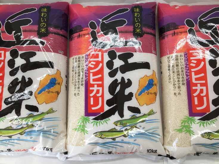 13位! 口コミ数「0件」評価「0」【3ヵ月頒布会】【5年産】 ふるさと納税 米 定期便 ふるさと定期便こしひかり10kgコース 白米 【30kg（10kg×1袋×3回）】 3･･･ 