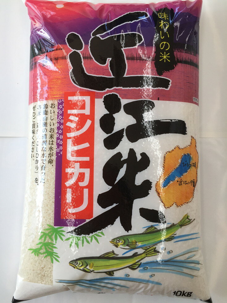 【ふるさと納税】【3ヵ月頒布会】【5年産】 ふるさと納税 米 定期便 ふるさと定期便こしひかり10kgコース 白米 【30kg（10kg×1袋×3回）】 30kg