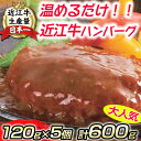 【ふるさと納税】【総本家肉のあさの】近江牛ハンバーグ【600g(120g×5個)】【牛肉】【牛】【国産】