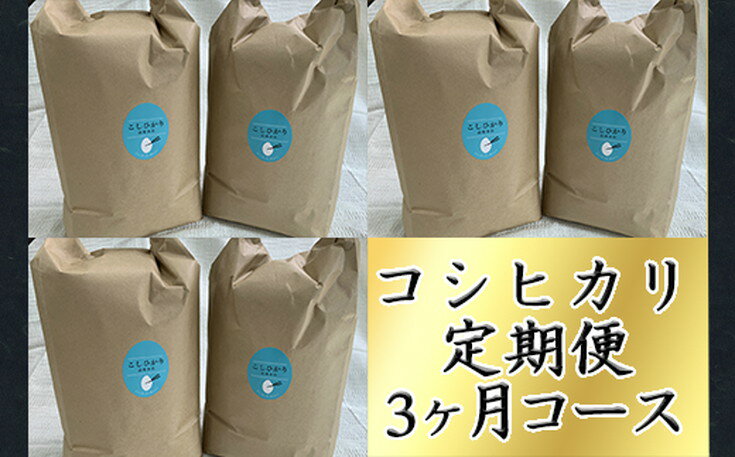 令和5年産 お米の定期便 [コシヒカリの会 全3回] ふるさと納税 米 定期便