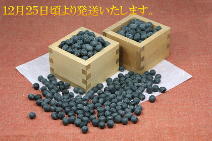 【令和5年12月25日頃より発送】令和5年産 黒豆【1.5kg（500g×3パック）】