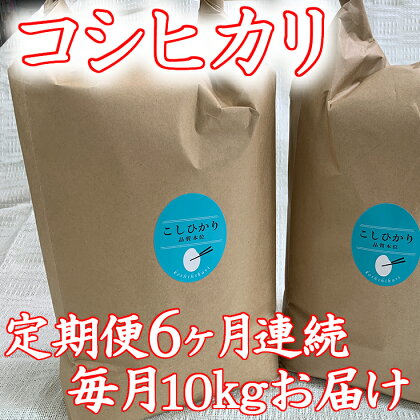 令和5年産 ふるさと納税 米 定期便 お米の定期便 【コシヒカリの会 全6回】【10kg(5kg×2袋)×6回】