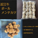 【ふるさと納税】近江牛ボールメンチカツ 60個 牛肉 牛 国産