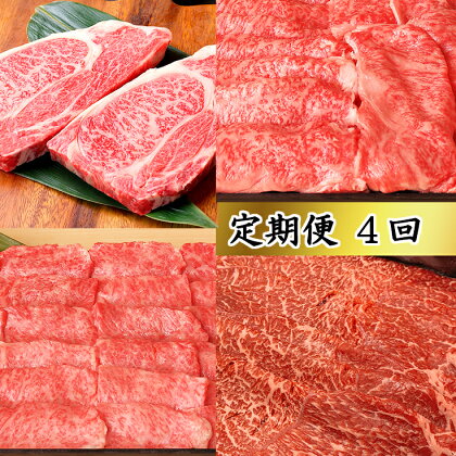 近江牛 定期便 4回 近江牛の会 第二弾 赤身 国産 滋賀県産 牛肉 冷凍 肩ロース バラ しゃぶしゃぶ用 焼肉 ステーキ 送料無料