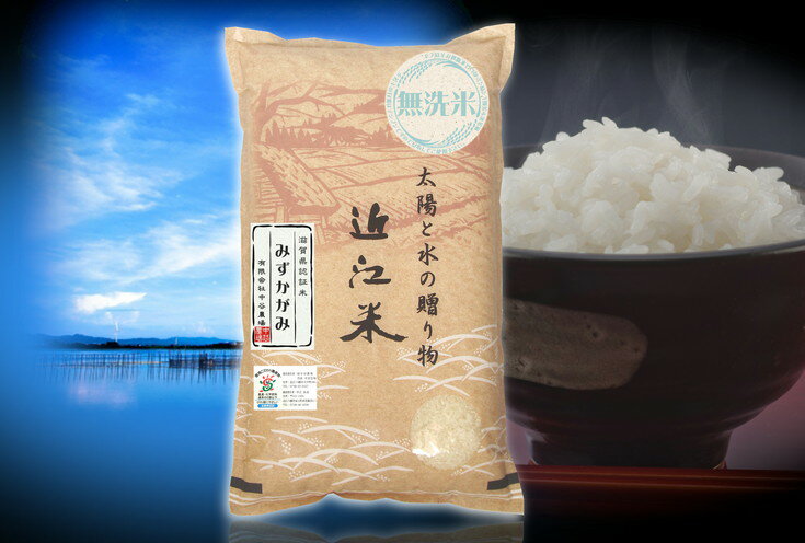 【ふるさと納税】【5年産】近江米 環境こだわり栽培 みずかがみ 無洗米 【10kg×1】のサムネイル