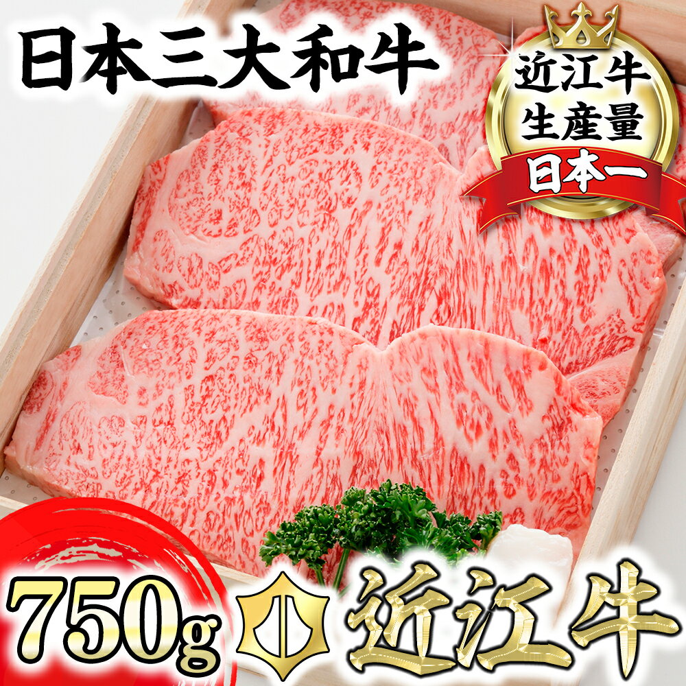 近江牛 特選サーロイン ステーキ[750g(約250g×3枚)][牛肉][牛][冷蔵][国産]