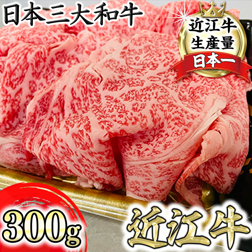 特選近江牛リブ切りおとし300g[冷凍][冷凍][牛肉 ランキング 極上 ブランド牛 旨み たっぷり 送料無料 ][国産]