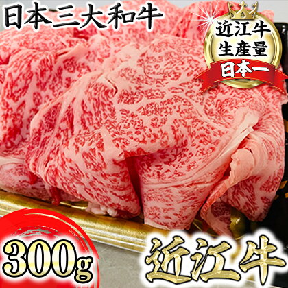 特選近江牛リブ切りおとし300g【冷凍】【冷凍】【牛肉 ランキング 極上 ブランド牛 旨み たっぷり 送料無料 】【国産】