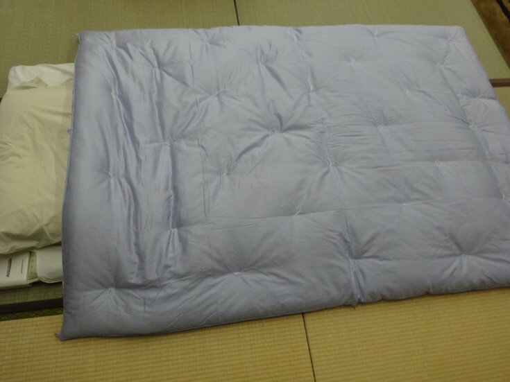 【ふるさと納税】エジプト綿入り「究極の掛ふとん」(ブルー)