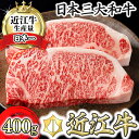 【ふるさと納税】【4等級以上】【カネ吉山本】近江牛[特] ステーキ用 サーロイン【400g（約 200g×2枚）】【牛肉】【牛】【2枚】【国産】 1