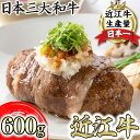 26位! 口コミ数「0件」評価「0」【カネ吉山本】近江牛包みハンバーグ　150g×4個（デミグラスソース・和風ポン酢ソース付き）